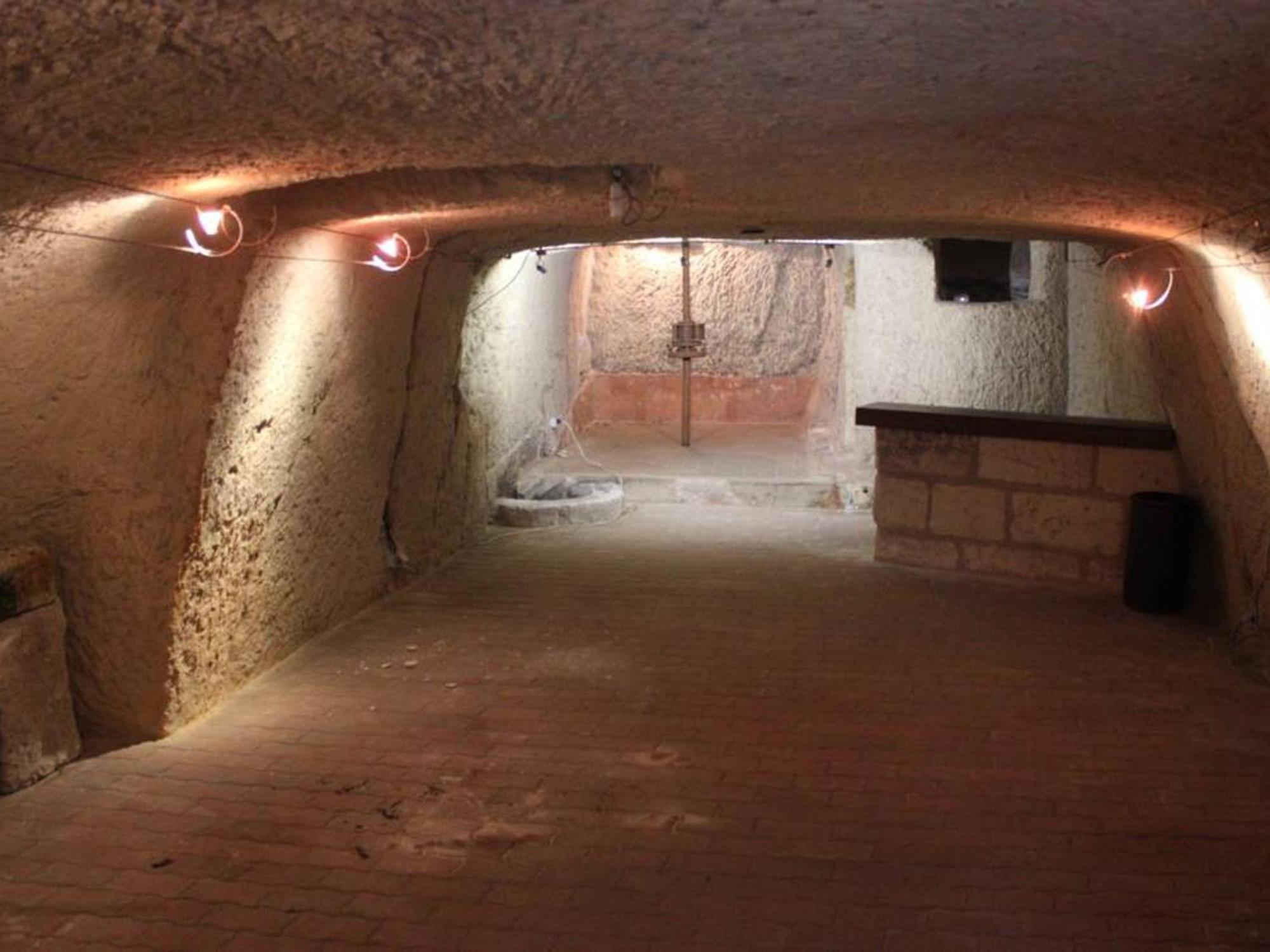 Location Unique En Ville, 3 Niveaux Avec Cave Voutee Et Troglodytique, Charme Et Authenticite En Touraine - Fr-1-381-162 Лош Экстерьер фото